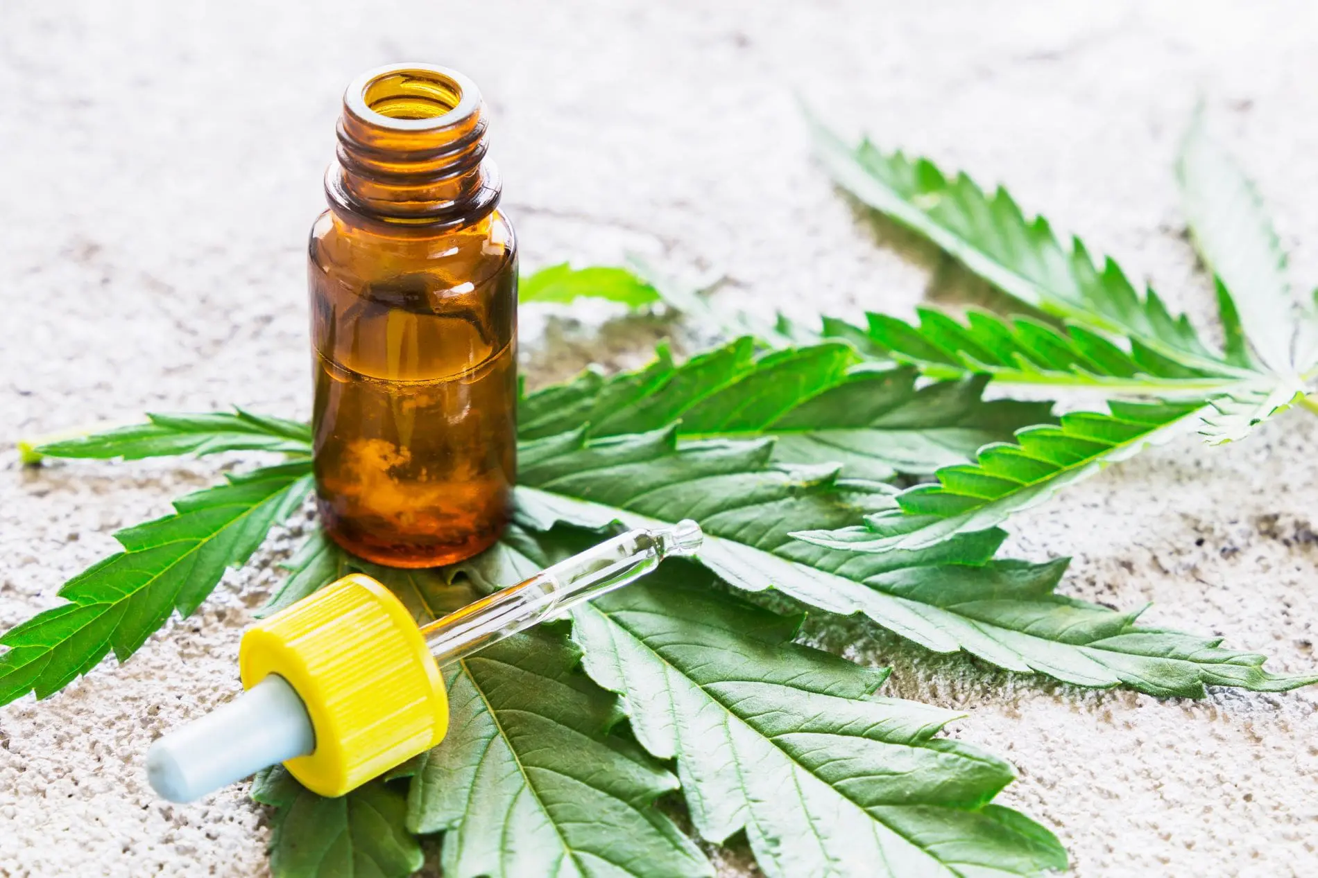 Hemp and CBD oil